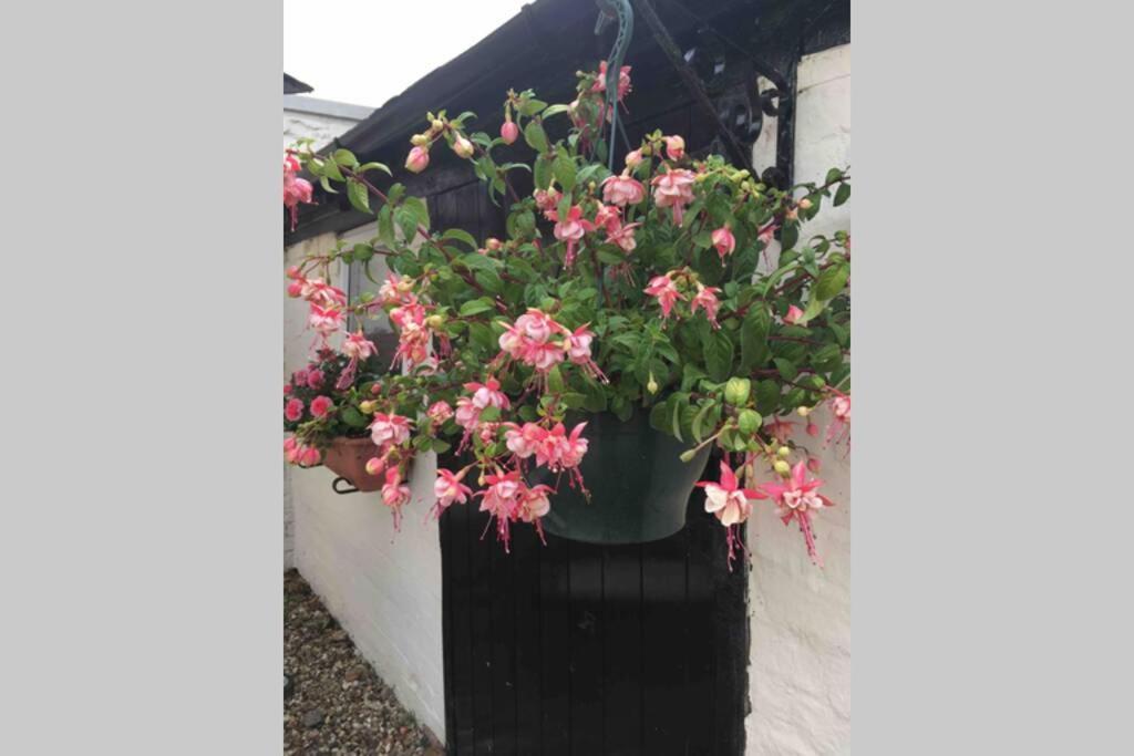 The Nook At West Langton Lodge Market Harborough Dış mekan fotoğraf